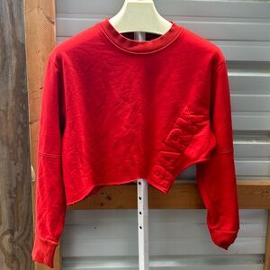 Ivy Park sweatshirt crop top (Dar)